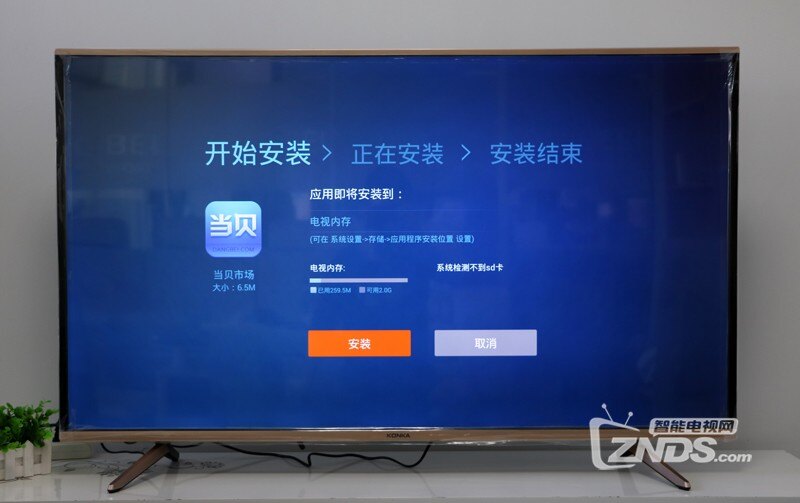 杨树苗种植案例分享:探索绿色未来